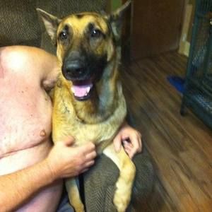 Meet your Posher, James cecil